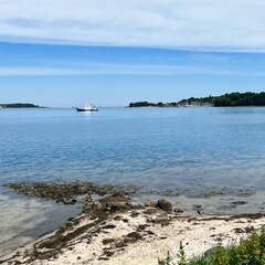 24-06-20 11-55-56 9701